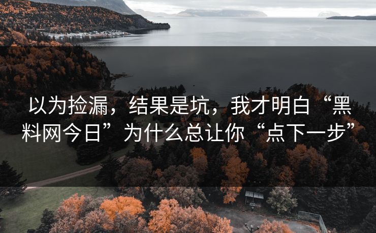 以为捡漏，结果是坑，我才明白“黑料网今日”为什么总让你“点下一步”