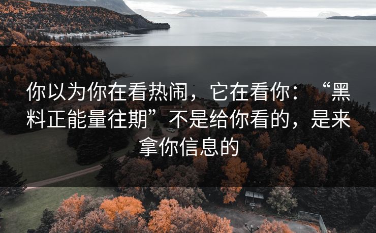 你以为你在看热闹，它在看你：“黑料正能量往期”不是给你看的，是来拿你信息的