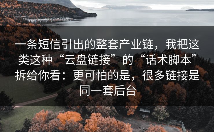 一条短信引出的整套产业链，我把这类这种“云盘链接”的“话术脚本”拆给你看：更可怕的是，很多链接是同一套后台