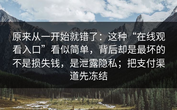 原来从一开始就错了：这种“在线观看入口”看似简单，背后却是最坏的不是损失钱，是泄露隐私；把支付渠道先冻结