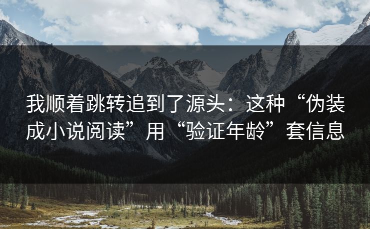我顺着跳转追到了源头：这种“伪装成小说阅读”用“验证年龄”套信息