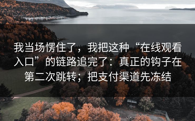 我当场愣住了，我把这种“在线观看入口”的链路追完了：真正的钩子在第二次跳转；把支付渠道先冻结