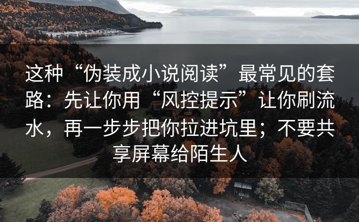 这种“伪装成小说阅读”最常见的套路：先让你用“风控提示”让你刷流水，再一步步把你拉进坑里；不要共享屏幕给陌生人