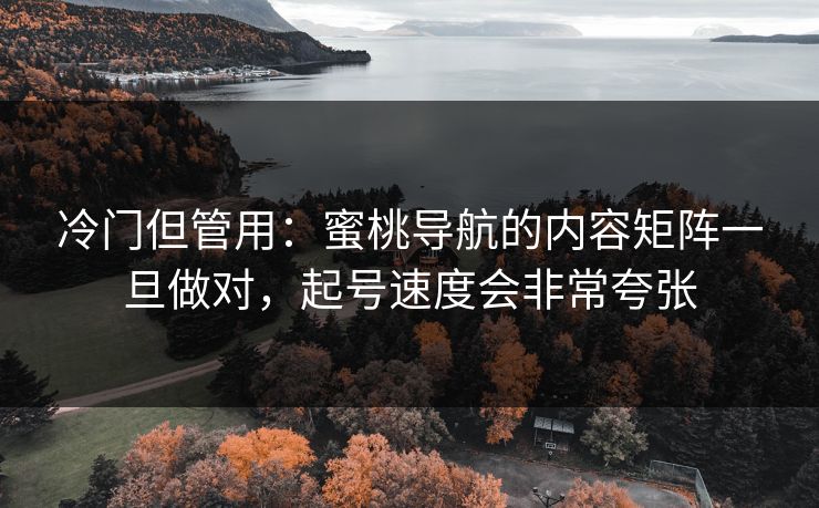 冷门但管用：蜜桃导航的内容矩阵一旦做对，起号速度会非常夸张